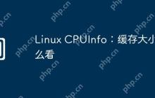 Linux CPUInfo：缓存大小怎么看