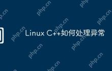 Linux C++如何处理异常