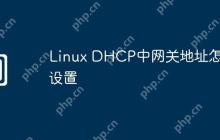 Linux DHCP中网关地址怎么设置