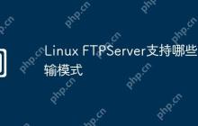Linux FTPServer支持哪些传输模式