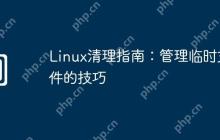 Linux清理指南:管理临时文件的技巧