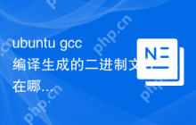 ubuntu gcc编译生成的二进制文件在哪