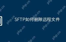 SFTP如何删除远程文件