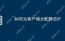 如何为客户端分配静态IP