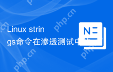 Linux strings命令在渗透测试中的应用