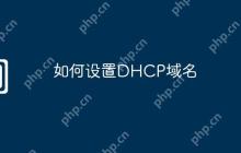 如何设置DHCP域名