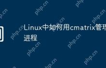 Linux中如何用cmatrix管理进程