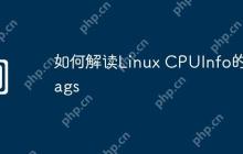 如何解读Linux CPUInfo的flags