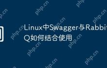 Linux中Swagger与RabbitMQ如何结合使用