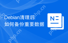 Debian清理后如何备份重要数据