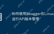 如何使用Swagger在Linux上进行API版本管理