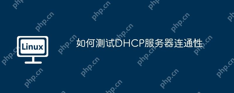 如何测试DHCP服务器连通性