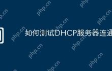 如何测试DHCP服务器连通性