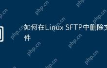 如何在Linux SFTP中删除文件