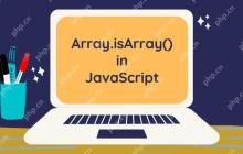 如何使用 Webpack 进行前端项目的打包与资源优化？