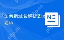 如何把域名解析到本地iis