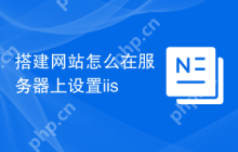 搭建网站怎么在服务器上设置iis