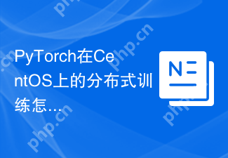 PyTorch在CentOS上的分布式训练怎么做