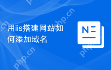 用iis搭建网站如何添加域名
