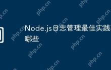 Node.js日志管理最佳实践有哪些