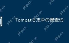 Tomcat日志中的慢查询