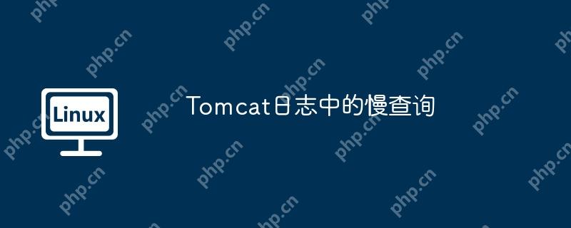 Tomcat日志中的慢查询 Tomcat日志中的慢查询
