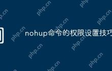 nohup命令的权限设置技巧