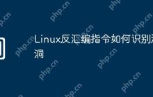 Linux反汇编指令如何识别漏洞