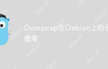 Dumpcap在Debian上的日志查看