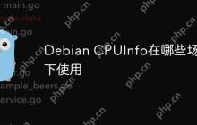 Debian CPUInfo在哪些场景下使用