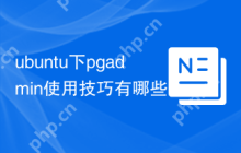 ubuntu下pgadmin使用技巧有哪些