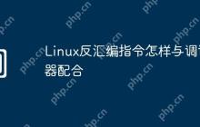Linux反汇编指令怎样与调试器配合