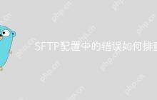 SFTP配置中的错误如何排查