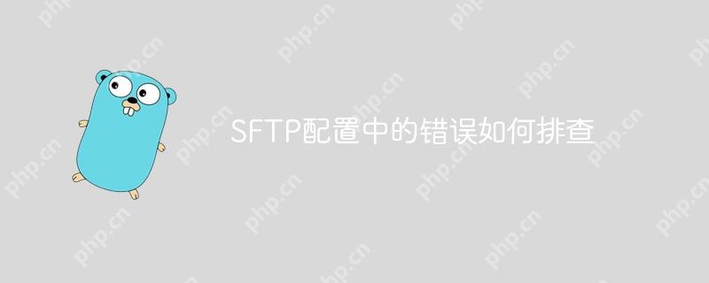 SFTP配置中的错误如何排查-小浪学习网