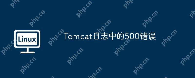 Tomcat日志中的500错误