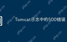 Tomcat日志中的500错误