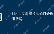 Linux反汇编指令如何分析恶意代码