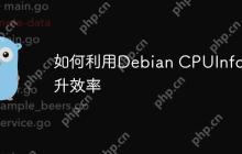 如何利用Debian CPUInfo提升效率