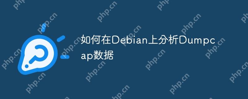 如何在Debian上分析Dumpcap数据