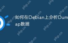 如何在Debian上分析Dumpcap数据