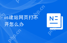 iis建站网页打不开怎么办
