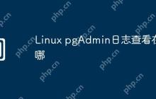 Linux pgAdmin日志查看在哪
