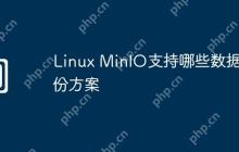 Linux MinIO支持哪些数据备份方案