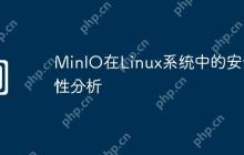 MinIO在Linux系统中的安全性分析