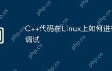 C++代码在Linux上如何进行调试