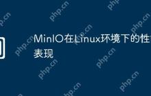 MinIO在Linux环境下的性能表现
