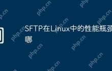 SFTP在Linux中的性能瓶颈在哪