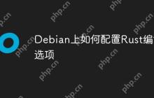 Debian上如何配置Rust编译选项