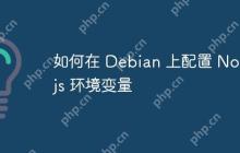 如何在 Debian 上配置 Node.js 环境变量
