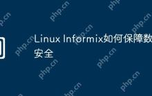 Linux Informix如何保障数据安全